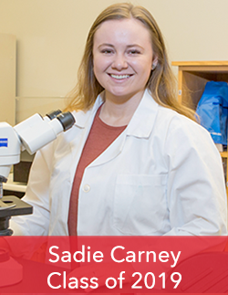 Sadie Carney, Class of 2019