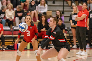 Volleyball