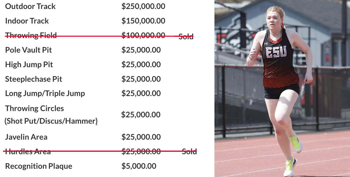 Campaign Naming Opportunties